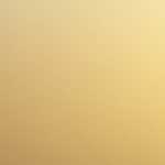 Cover Your Gray Brush In Wand (Pack of 6) Dark Brown