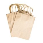 Paper Gift Bags with Handles 8″ x 10.25″ x 4.25″ for Arts & Crafts Projects, Coloring, Birthdays, Shopping, Presents (13 Pack) by Super Z Outlet (Kraft Brown)