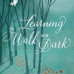Learning to Walk in the Dark
