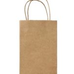 Halulu 100pcs 5.25×3.75×8 Brown Kraft Paper Retail Shopping Bags with Rope Handles