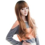 DPIST® Wigs for Women Korean Fancy Long Healthy Hair Wig+wig Cap Light Brown