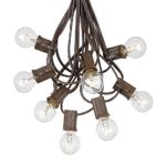 G30 Patio String Lights with 25 Globe Bulbs – Garden Hanging String Lights – Vintage Backyard Patio Lights – Outdoor String Lights – Market Cafe Bistro String Lights – Brown Wire -25 Feet