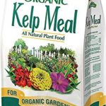 Espoma Organic Traditions Kelp Meal 1-0-2 – 4 lb Bag KM4
