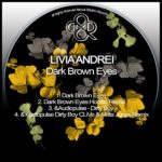 Dark Brown Eyes (Horatio Remix)