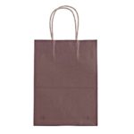Titan Mall Paper Bags with Handles 8″x4.75″x10″ – 50 pcs Dark Brown Gift Bag Shopping bag
