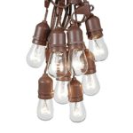 100 Foot S14 Edison Outdoor String Lights – Suspended – Commercial Grade – Backyard Garden Gazebo – Cafe Market String Lights – Vintage Patio String Lights – Brown Wire – 50 Clear S14 Bulbs