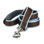 Yellow Dog Design Sterling Stripes Brown Light Blue Dog Leash with Comfort Grip Handle-Medium-3/4″ 5′ x 60″
