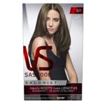 Vidal Sassoon Salonist Hair Colour Permanent Color Kit, 6/1 Light Cool Brown