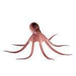 Saim Glowing Effect Artificial Octopus for Fish Tank Decorative Aquarium Ornament (Light Brown)