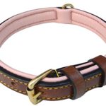 Soft Touch Collars – Padded Leather Dog Collar, Small – Brown and Light Pink, 16″ long x 5/8 wide – Fits Neck Size 11″ – 13.5″ Inches