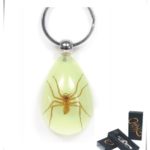 Real Brown Recluse Spider Keychain (Glow-in-the-dark)