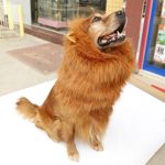 Dog Lion Mane Wig with Ears for Pet Costume Fancy Hair Clothes Dress Halloween Christmas Easter Festival Party Light Brown
