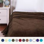 Flannel Fleece Luxury Blanket Brown Queen Size Lightweight Cozy Plush Microfiber Solid Blanket by Bedsure
