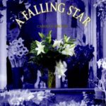 A Falling Star