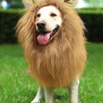 YOUTHINK Lion Mane for Dog Large Medium with Ears Pet Lion Mane Costume Button Adjustable Holiday Photo Shoots Party Festival Occasion Light Brown