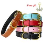 PET ARTIST Brown Classic Soft Padded Leather Dog Collar for Toy Dogs