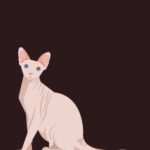 Notebook: Sphynx on dark brown cover and Lined pages, Extra large (8.5 x 11) inches, 110 pages, White paper (Sphynx on dark notebook) (Volume 5)