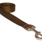 Sassy Dog Wear 4-Feet Brown Nylon Webbing Dog Leash, Small/Medium