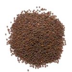Brown Mustard Seed, Whole – 1/2 Pound ( 8 ounces ) – North American Harvested Brown Mustard Spice by Denver Spice