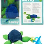 Dr. Brown’s – Turtle Lovey with Blue One-Piece Pacifier – Green/Blue