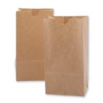 Mini Kraft Paper Bags 100 per pack