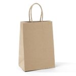 Halulu 100pcs 5.25″ x 3.75″ x 8 ” Brown Kraft Paper Bags,Handled, Shopping, Gift, Merchandise, Carry, Retail,Party Bags