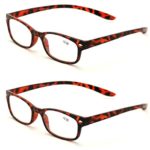 2 Pairs Hang Around Your Neck Reading Glasses Reader – Easy On / Off (Tortoise, 3.00)