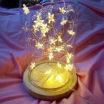 Hot Sale!DEESEE(TM)Star Light Cozy String Fairy Lights For Bedroom Party With 50 LED Beads (Yellow)