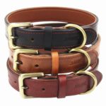 Moonpet Soft Padded Real Leather Dog Collar – Best Full Grain Heavy Duty Genuine Leather Collar – for Small Medium Large Male Female Dogs – Light Brown,16-20”