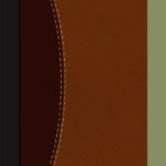 HCSB Ultrathin Reference Bible, Dark Brown/Brown Simulated Leather