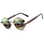 ZOGEEN Polarized Steampunk Round Sunglasses for Men Women Mirrored Lens Metal Frame S2671 (Brown&Gold)