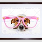 JACK RUSSELL DOG COMEDY PINK GLASSE BLACK FRAMED ART PRINT PICTURE B12X9054
