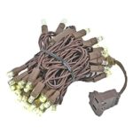 Novelty Lights 50 Light LED Christmas Mini Light Set, Outdoor Lighting Party Patio String Lights, Warm White, Brown Wire, 11 Feet