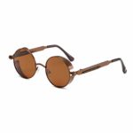 world-palm Retro Vintage Steampunk Men Round Sunglasses Mirrored Women Sun Glasses,C6-Brown-Brown