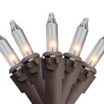 Northlight Set of 20 Clear Mini Christmas Lights 2.5” Spacing – Brown Wire