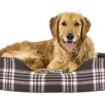 Furhaven Pet Dog Bed | Oval Terry Fleece and Plaid Pet Bed for Dogs & Cats, X-Large, Java Brown