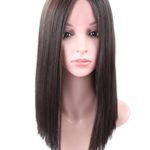 Fani Lace front Wigs for Women 14″ Dark Brown Color Middle Part Shoulder Length Straight Synthetic Wig Heat Resistant Wigs with Free Wig Cap(4#)