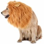 Bassion Dog Lion Mane – Funny Pet Dog Lion Costume with Gift [Lion Tail] – Lion Wig Dog Mane for Medium to Large Sized Dogs (Light Brown)