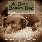 A Dark Brown Dog: A Stephen Crane Story