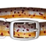 Dublin Dog Koa Collection Trout Series 17 by 21.5-Inch Dog Collar, Large, Brown Trout