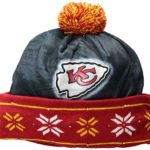 FOCO NFL Unisex Big Logo Light Up Printed Beanie