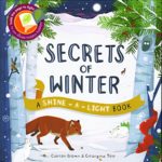Secrets of Winter Secrets (A Shine-A-Light Book )