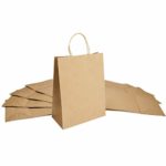 Halulu 25 Pcs 10″x5″x13″ Kraft Brown Paper Handle Shopping Gift Merchandise Carry Retail Bags