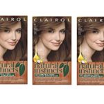 Clairol Natural Instincts Semi-Permanent Hair Color Kit (Pack of 3), 6G 12 Toasted Almond Light Golden Brown Color, Ammonia Free