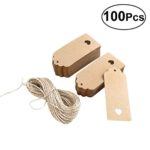 Tinksky Kraft Paper Card Blank Brown Tag Wedding Favour Gift Tag DIY Tag Luggage Tag Price Label with 10M Rope ,9*4cm,Pack of 100