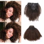 Anrosa Kinkys Curly Clip in Hair Extensions Human Hair 3C 4A 4B Afro Kinky Curly Clip ins Natural Hair Clip ins Afro Kinky Clip ins for Black Women Color Dark Brown #1B/4 Thick Big Volume 14 Inch 120g