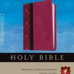 Slimline Reference Bible NLT, TuTone (LeatherLike, Rich Raspberry/Brown/Dark Brown)