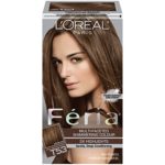 L’Oréal Paris Feria Multi-Faceted Shimmering Permanent Hair Color, T53 Moonlit Tortoise (Cool Medium Brown) (1 Kit) Hair Dye