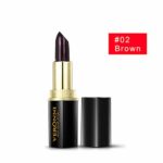 Orcbee  _Black Dark Brown Hairline Shadow Thin Color Powder Lipstick Stick Style (Brwon)