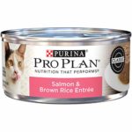 Purina Pro Plan Classic Salmon & Brown Rice Entree Adult Wet Cat Food – (24) 5.5 oz. Cans